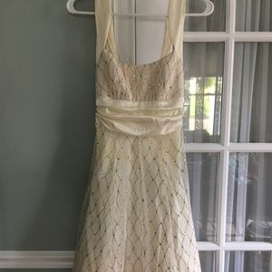 Windsor Elegant Skater dress